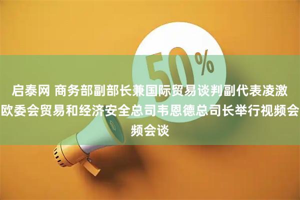 启泰网 商务部副部长兼国际贸易谈判副代表凌激与欧委会贸易和经济安全总司韦恩德总司长举行视频会谈