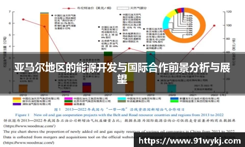 亚马尔地区的能源开发与国际合作前景分析与展望